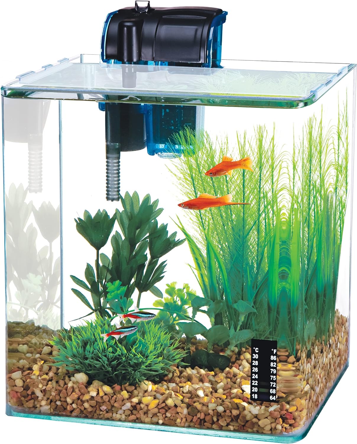 Penn-Plax Water-World Vertex Desktop Nano Aquarium Kit – Perfect for Shrimp and Small Fish – 2.7 Gallon Tank