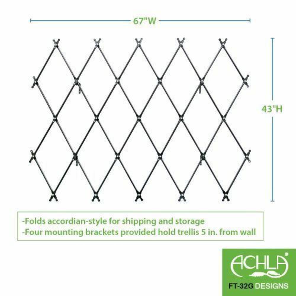 ACHLA Designs Wall Mounted Lattice Folding  Trellis