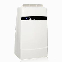 Whynter ECO-FRIENDLY 12000 BTU Dual Hose Portable Air Conditioner