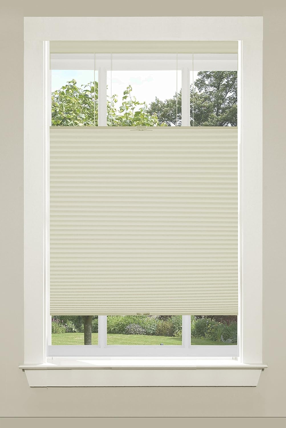 Achim Home Furnishings Top-Down Cordless Honeycomb Cellular Pleated Shade, 31 by 64", Alabaster
