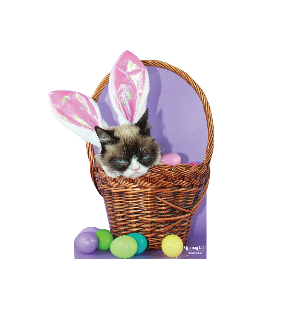 Advanced Graphics Grumpy Cat Easter