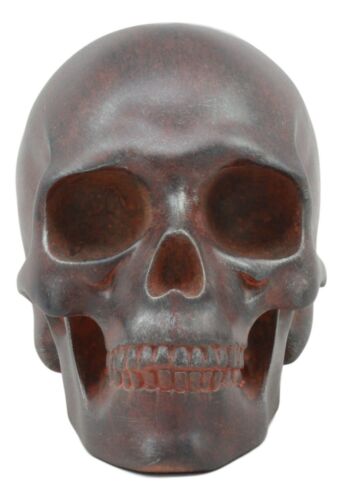Ebros Gift World War Green Beret Army Rusted Skull Statue 7"Long Military Skeleton Cranium