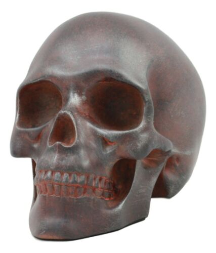 Ebros Gift World War Green Beret Army Rusted Skull Statue 7"Long Military Skeleton Cranium