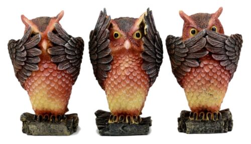 Ebros Gift See Hear Speak No Evil Forest Owls Figurine Animal Set Wisdom of The Woods Wise Great Horned Owls Collectible...