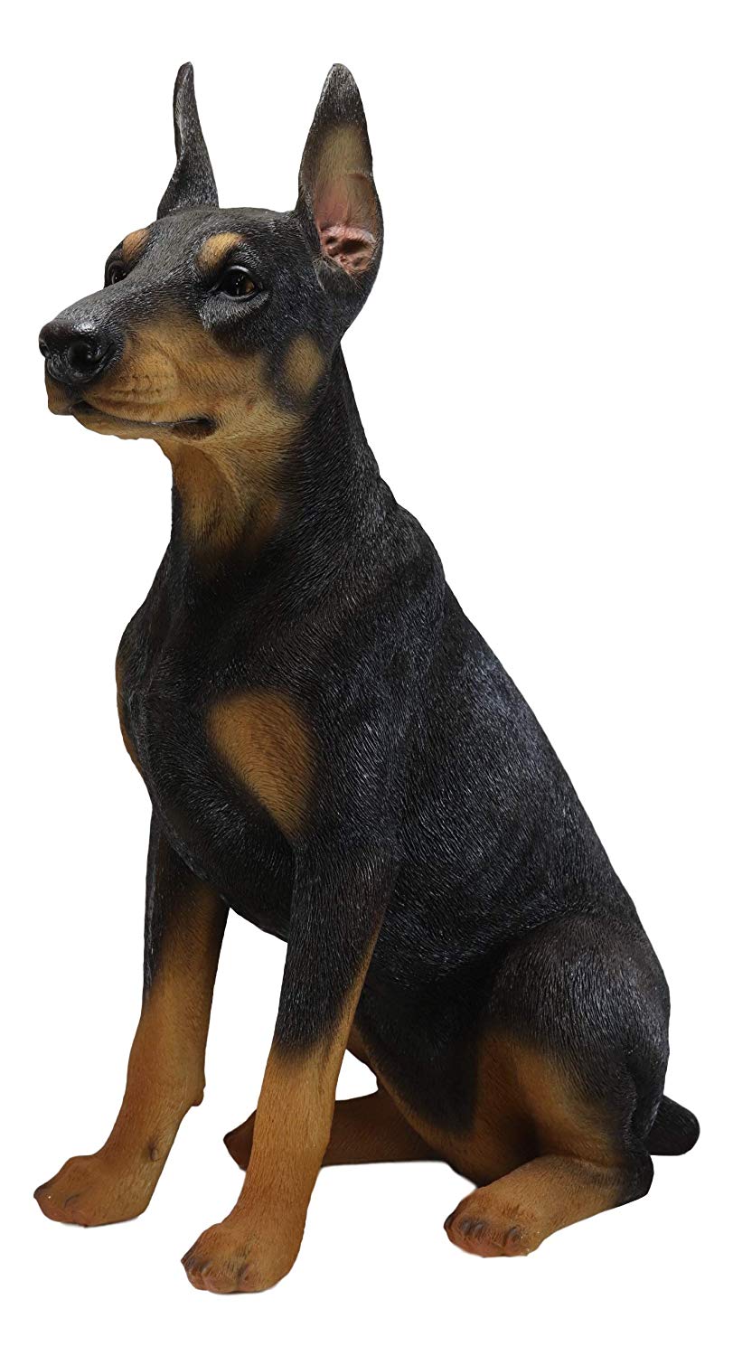 Ebros Gift Ebros Large Lifelike Realistic Sitting Black Doberman Pinscher Dog Statue 23.5" Wide Fine Pedigree Dogs Dobermann Breed...