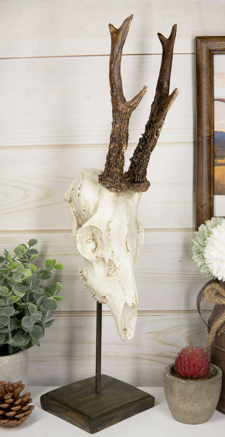 Ebros Gift Large 15"H Rustic Roe Deer Buck Head Skull On Museum Pole Stand Base Figurine