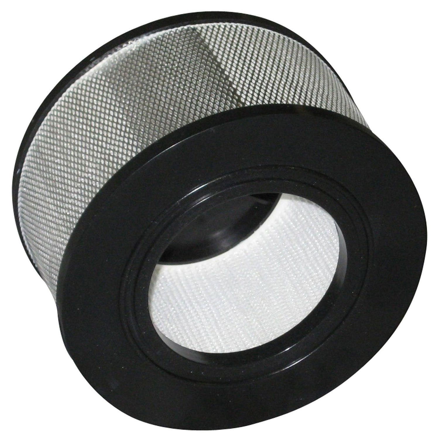 Nilfisk Replacement HEPA Filter for GM80