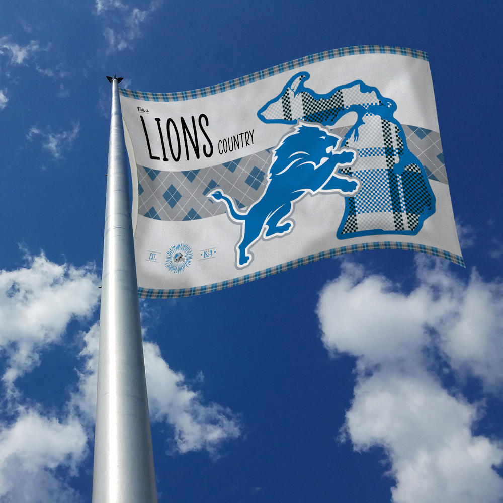 Rico Industries NFL Football Detroit Lions This is Lions Country 3' x 5' Banner Flag