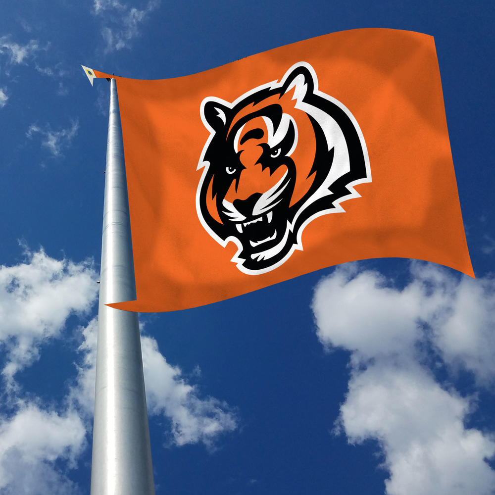Rico Industries NFL Football Cincinnati Bengals Standard 3' x 5' Banner Flag