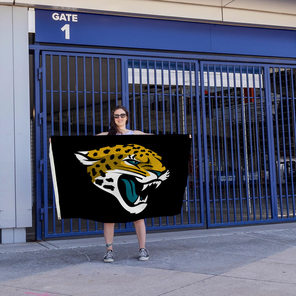 Rico Industries NFL Football Jacksonville Jaguars Standard 3' x 5' Banner Flag