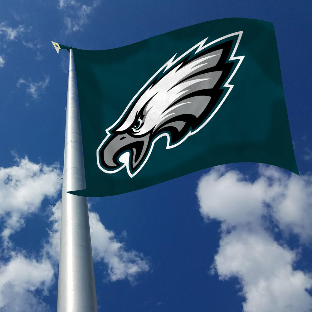 Rico Industries NFL Football Philadelphia Eagles Standard 3' x 5' Banner Flag
