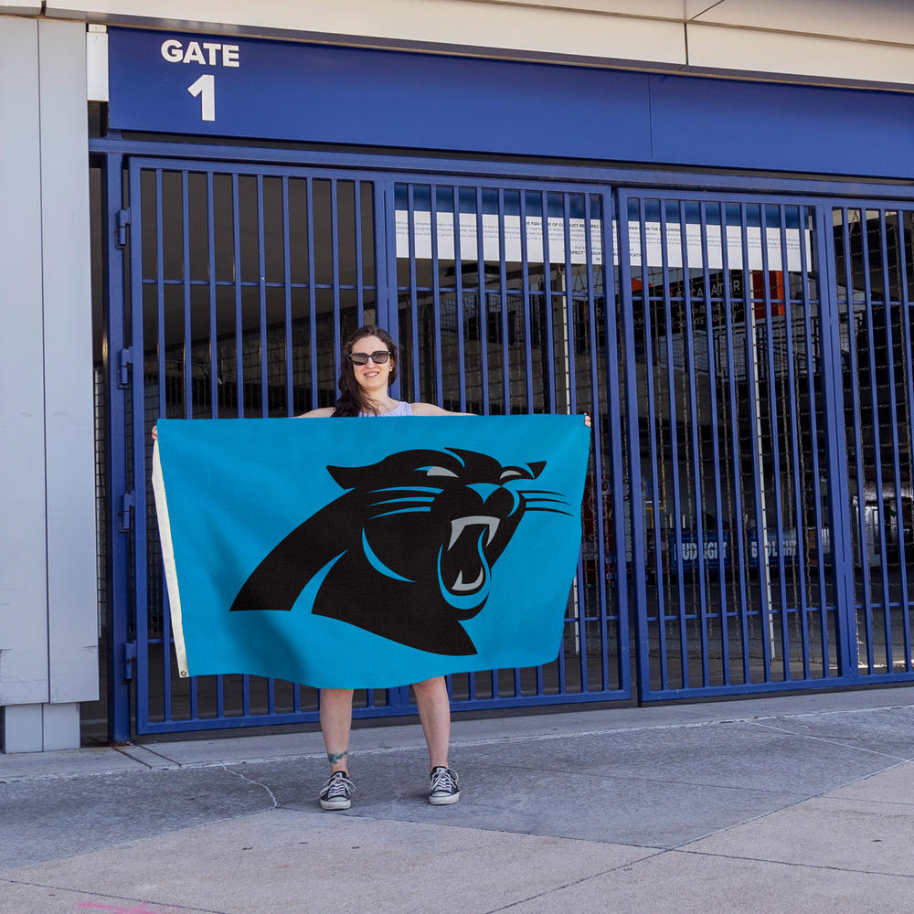 Rico Industries NFL Football Carolina Panthers Standard 3' x 5' Banner Flag