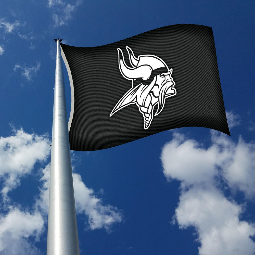 Rico Industries NFL Football Minnesota Vikings Carbon Fiber 3' x 5' Banner Flag