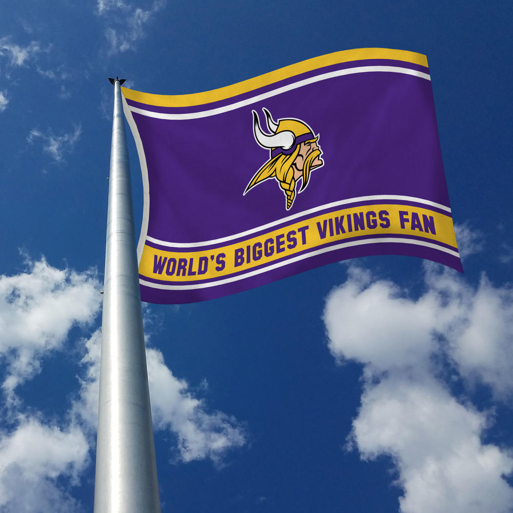 Rico Industries NFL Football Minnesota Vikings Exclusive-Fan 3' x 5' Banner Flag