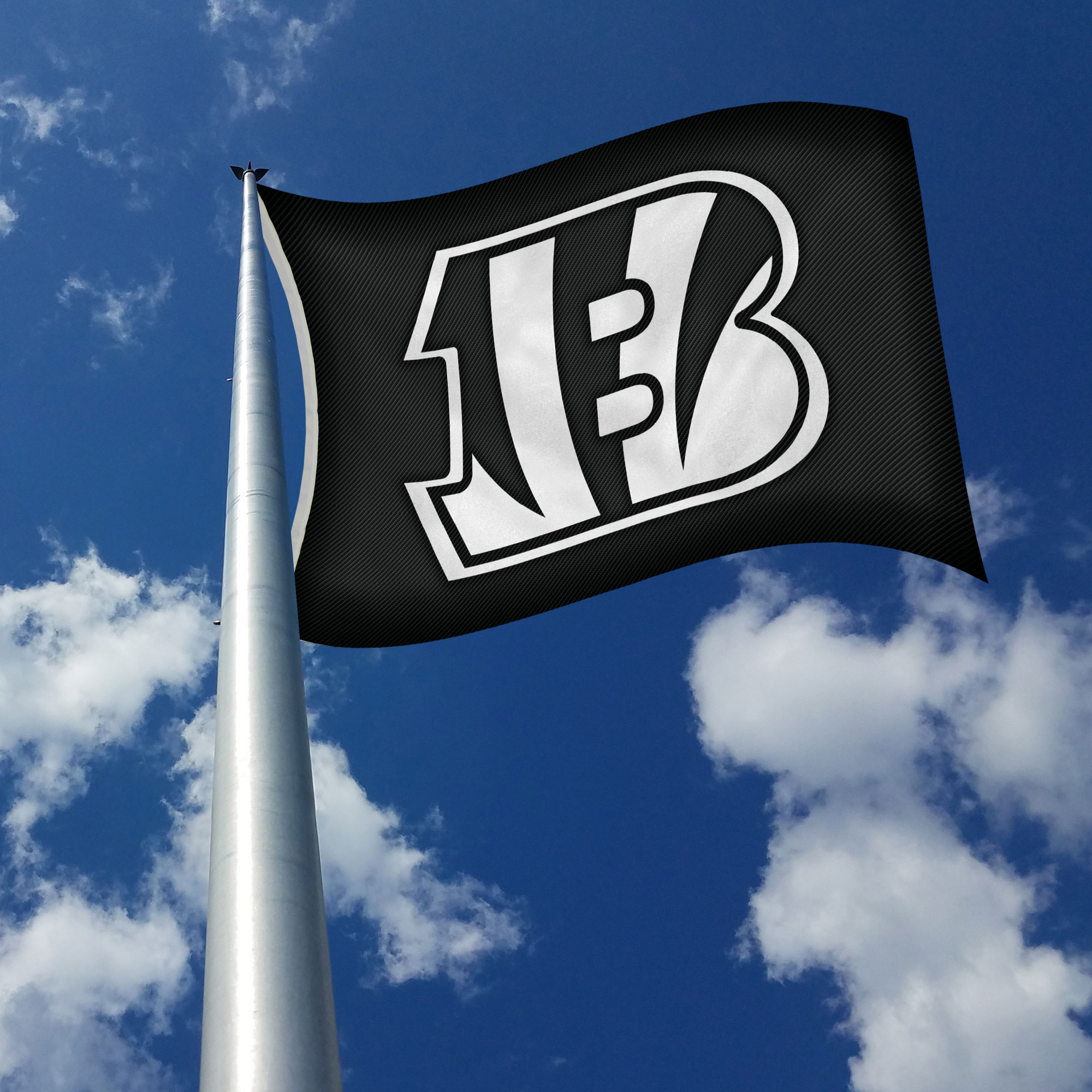Rico Industries NFL Football Cincinnati Bengals Carbon Fiber 3' x 5' Banner Flag