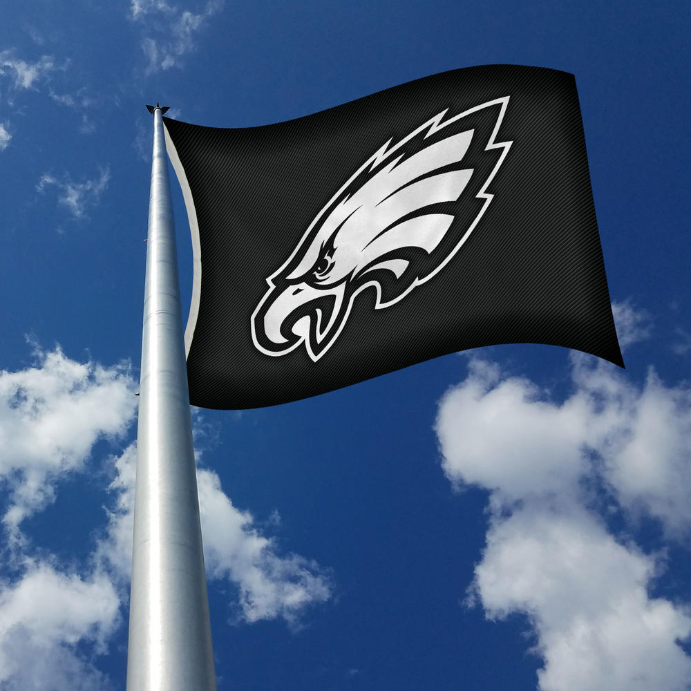 Rico Industries NFL Football Philadelphia Eagles Carbon Fiber 3' x 5' Banner Flag