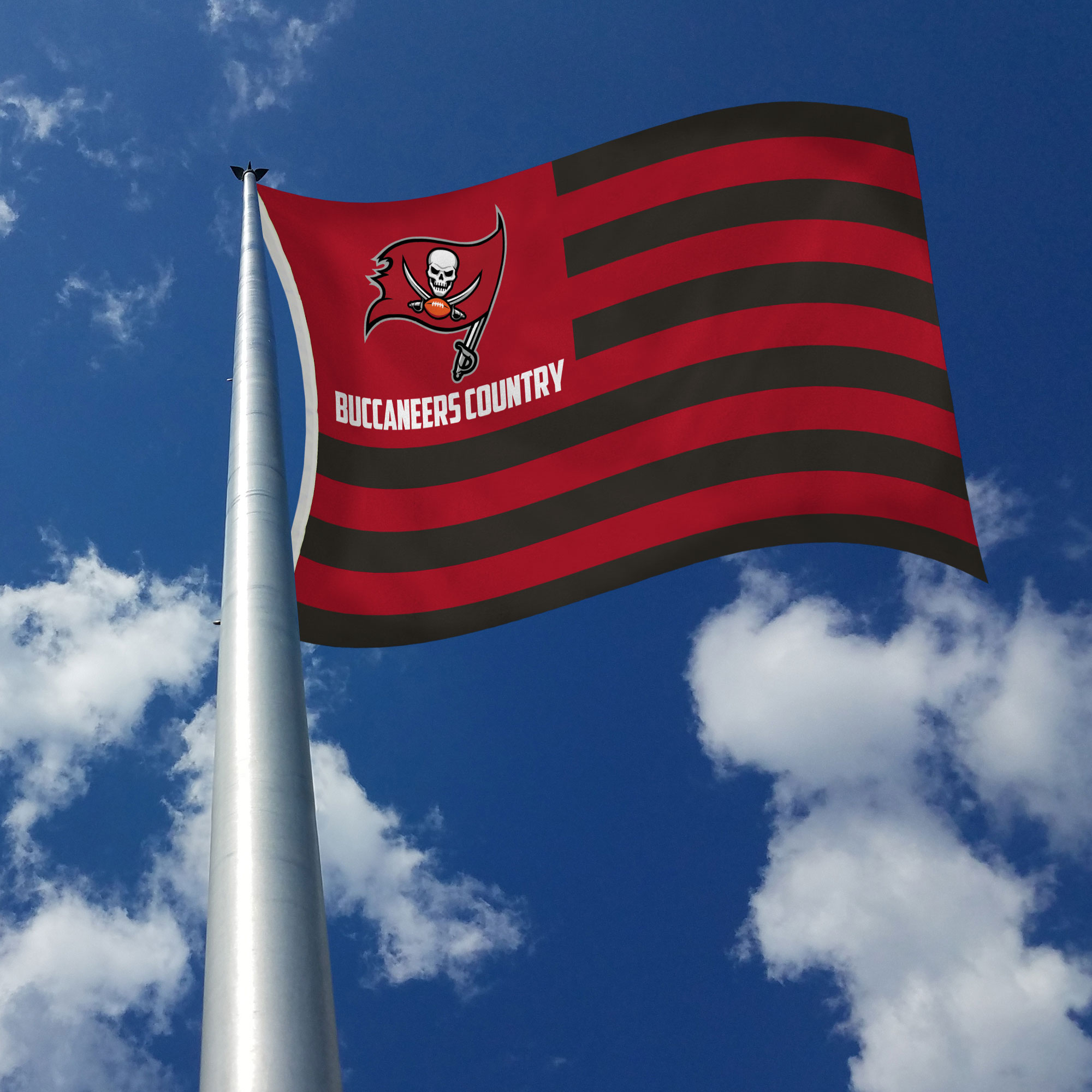 Rico Industries NFL Football Tampa Bay Buccaneers Country 3' x 5' Banner Flag