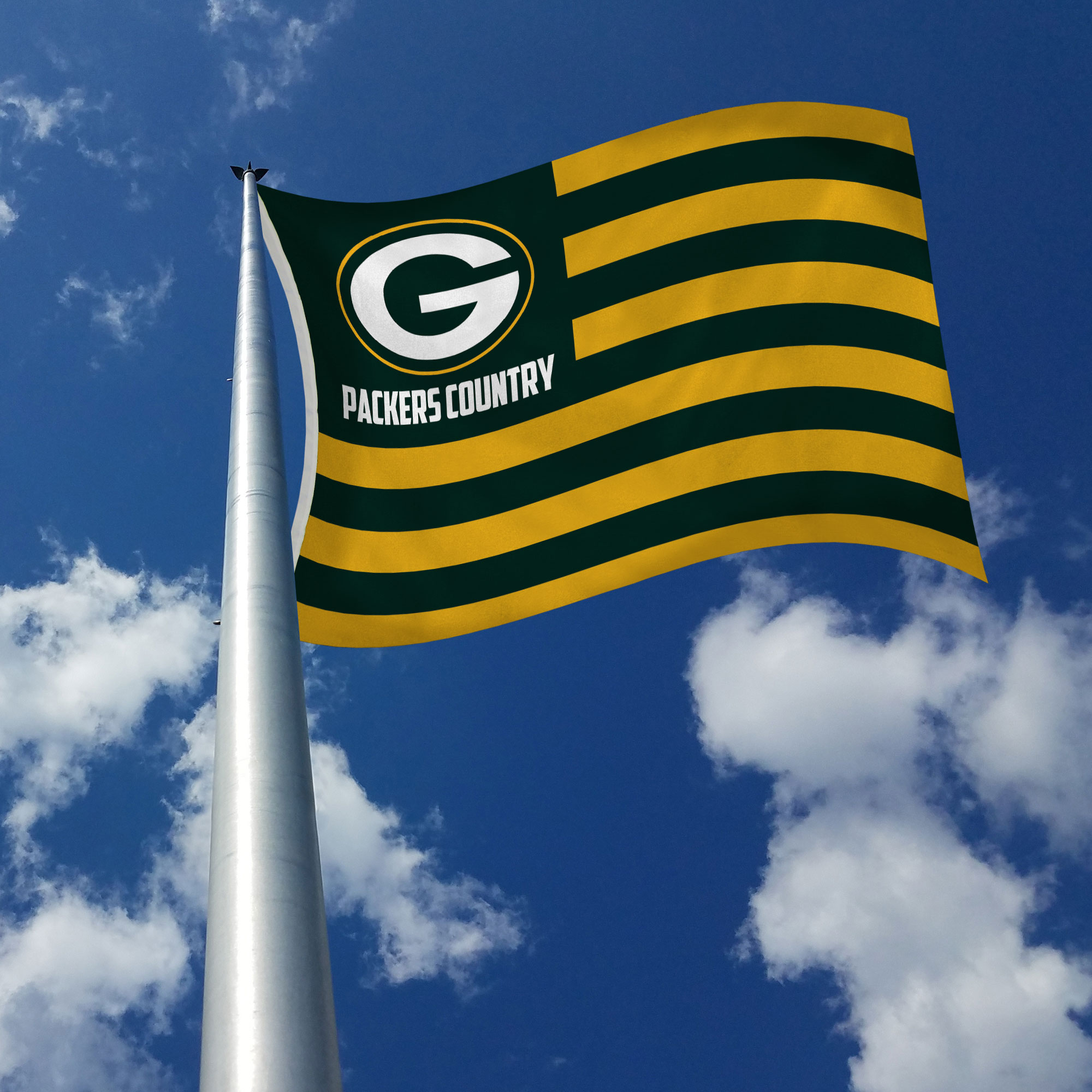 Rico Industries NFL Football Green Bay Packers Country 3' x 5' Banner Flag