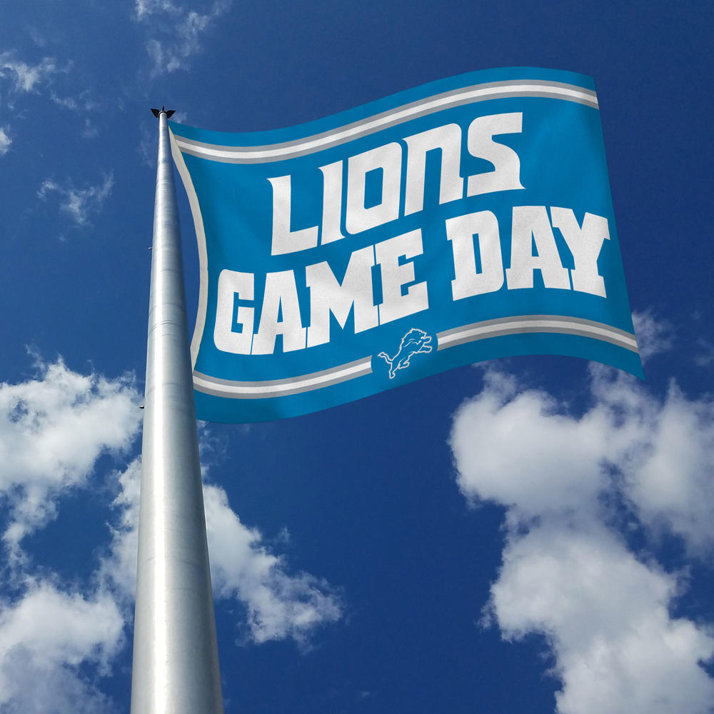 Rico Industries NFL Football Detroit Lions Game Day 3' x 5' Banner Flag
