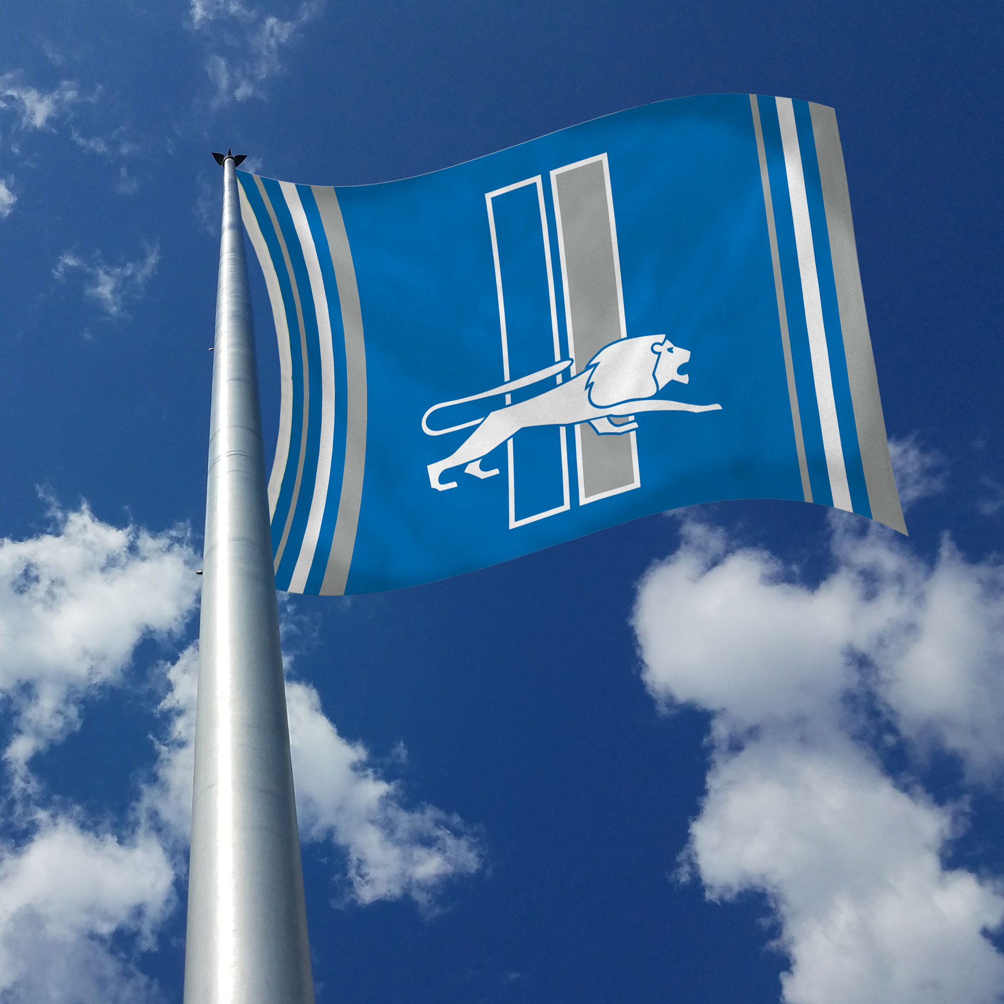 Rico Industries NFL Football Detroit Lions Retro 3' x 5' Banner Flag