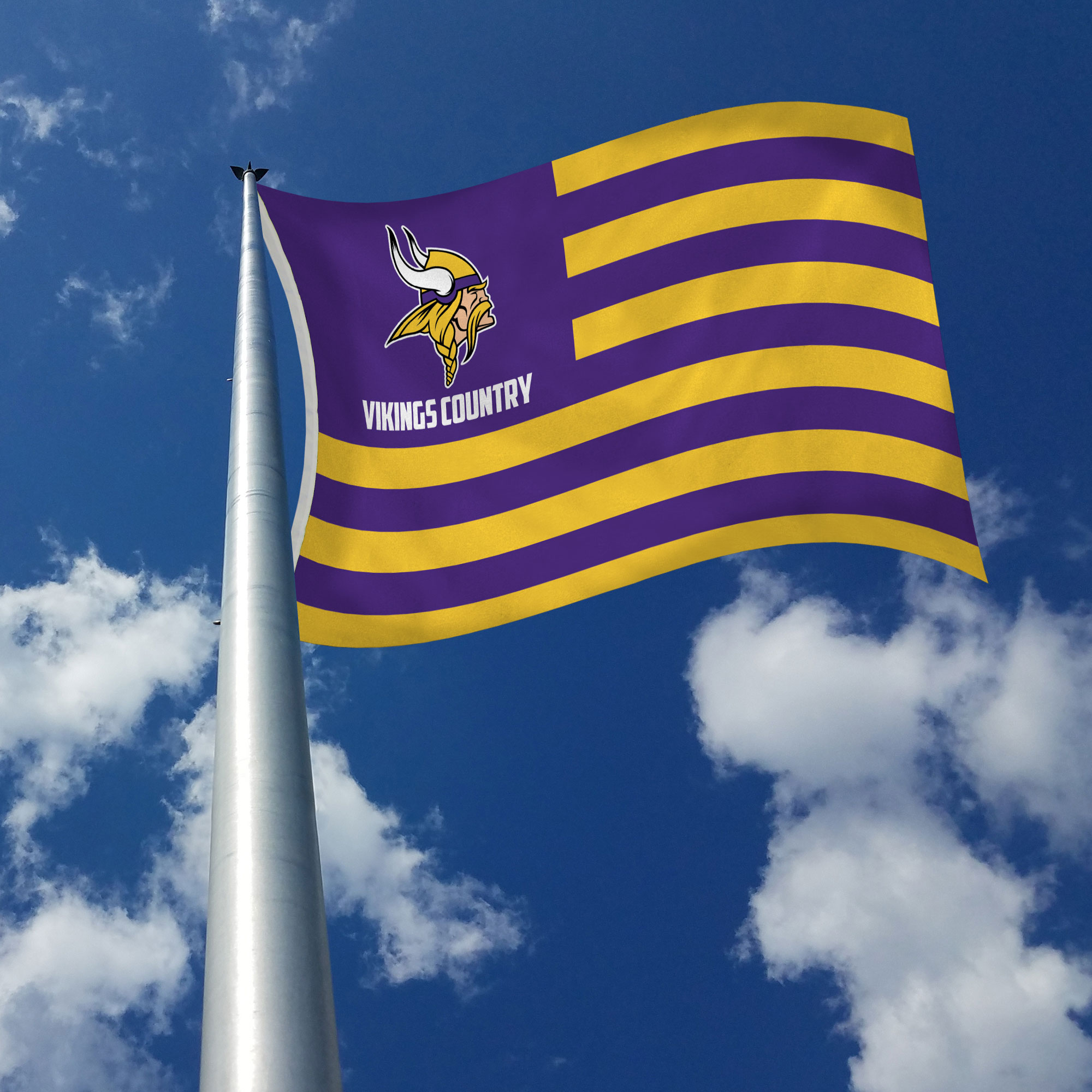 Rico Industries NFL Football Minnesota Vikings Country 3' x 5' Banner Flag