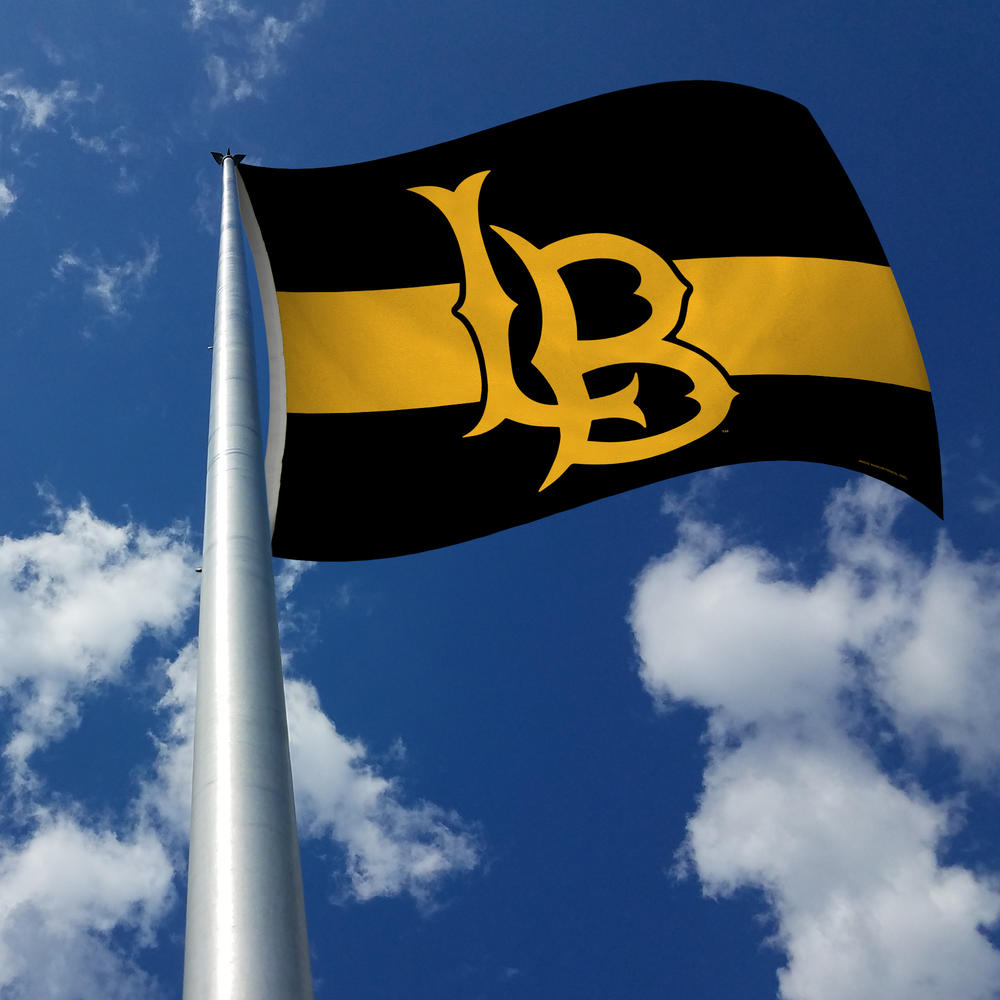 Rico Industries NCAA  Cal State - Long Beach State Black with Gold Stripe 3' x 5' Banner Flag