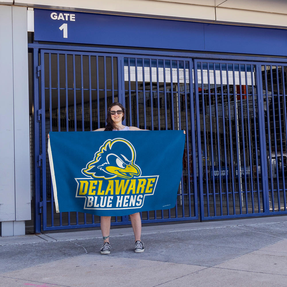 Rico NCAA Rico Industries Delaware Fightin Blue Hens Exclusive 3' x 5' Banner Flag
