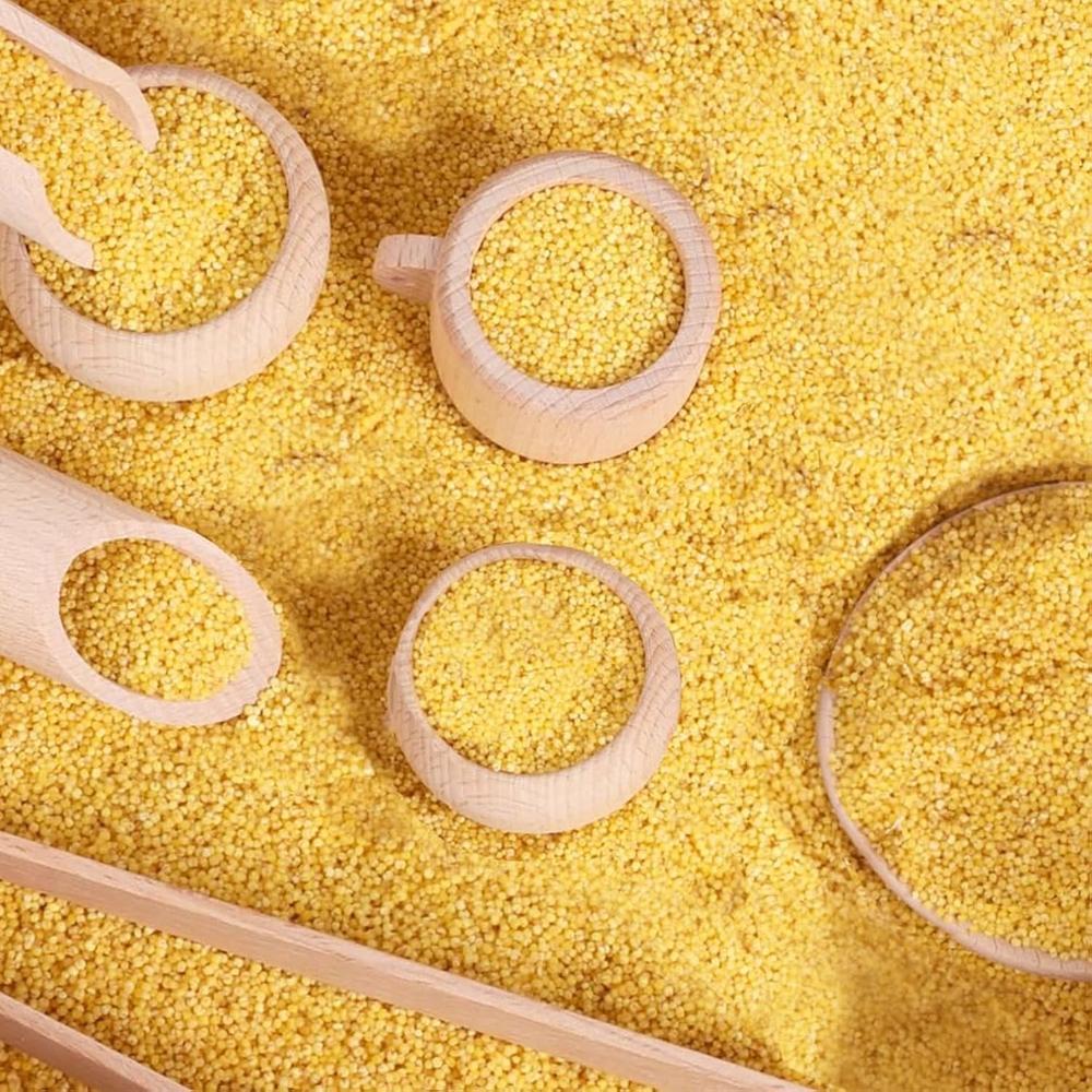 Thinkstar 10 Pcs Wooden Sensory Bin Tools For Toddlers Preschool thinkstar-10-pcs-wooden-sensory-bin-tools-for-toddlers-preschool