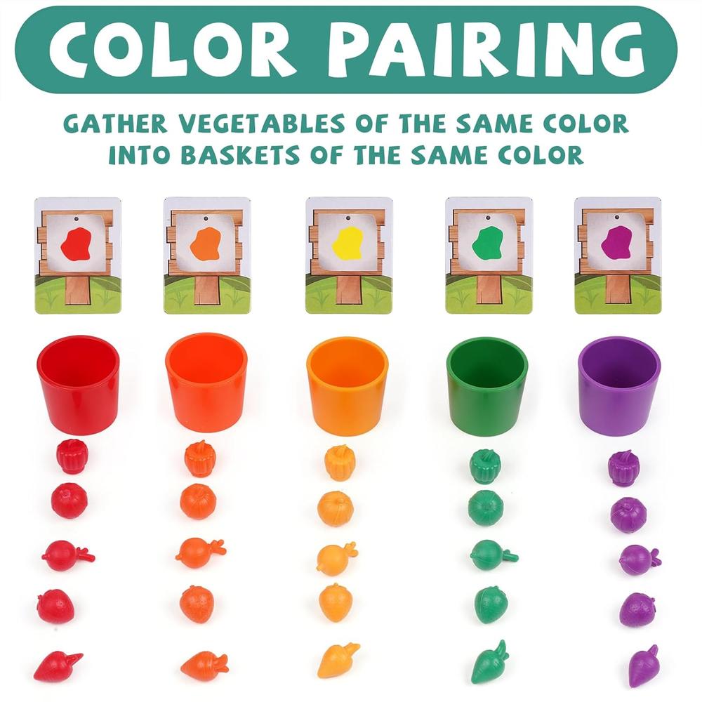 thinkstar 41 Pieces Veggie And Fruits Farm Color Shape Sorter Matching ...