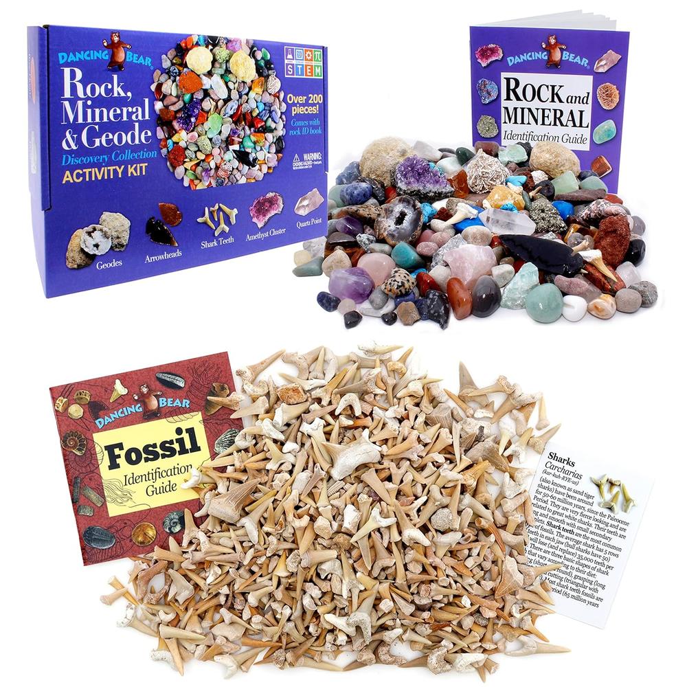 thinkstar Geology Fossil Bundle – 2 Stem Kits: Rock, Mineral & Geode ...