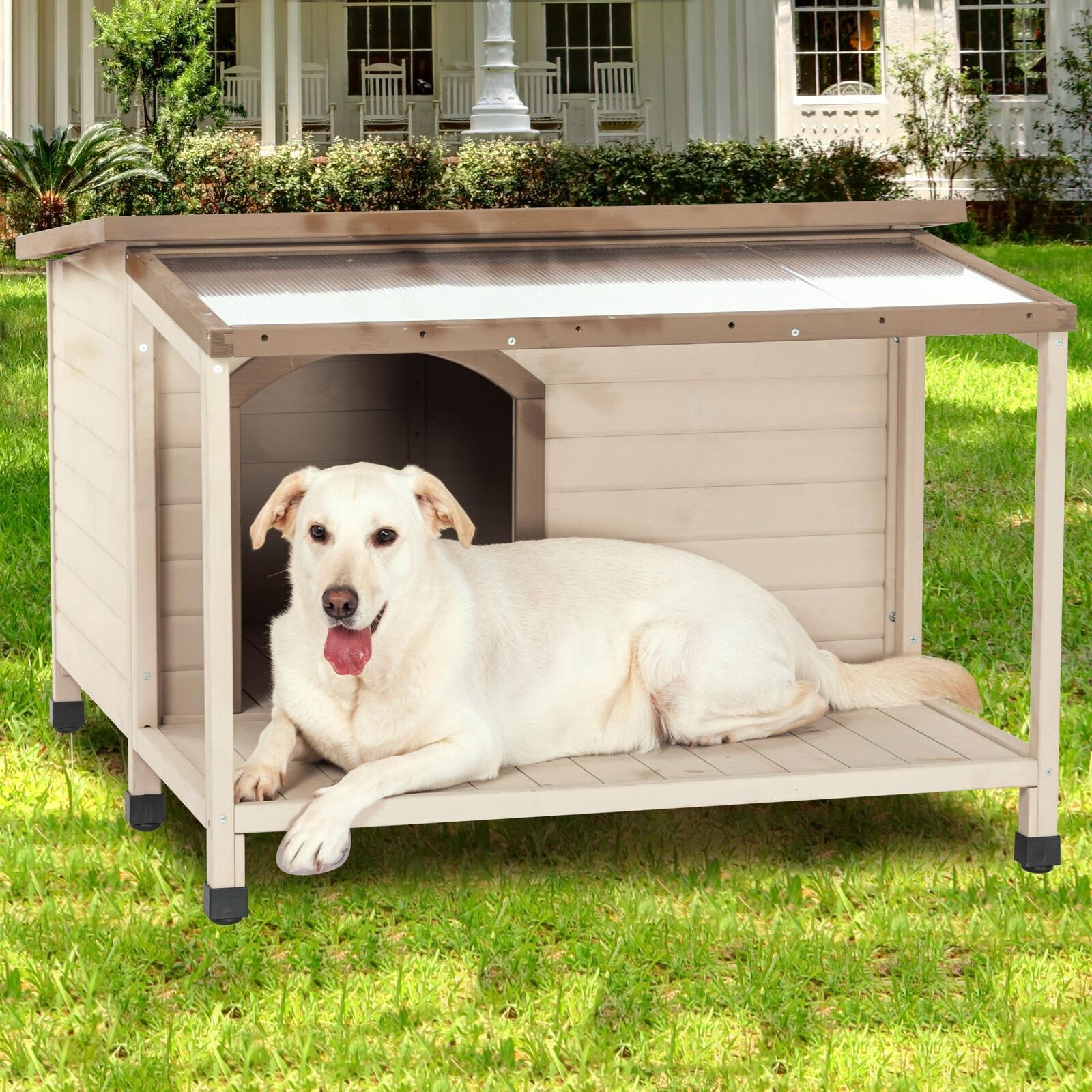 thinkstar Large Elevated Indoor Outdoor Dog House With Porch Waterproof Dog Kennel Shelter