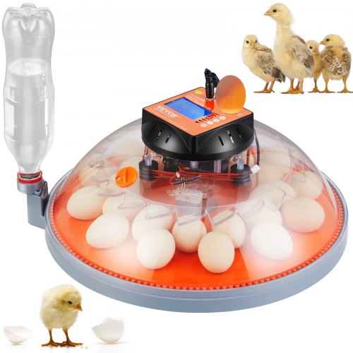VEVOR Egg Incubator, Incubators for Hatching Eggs, Automatic Egg Turner with Temperature and Humidity Control, 24 Eggs Poultry 