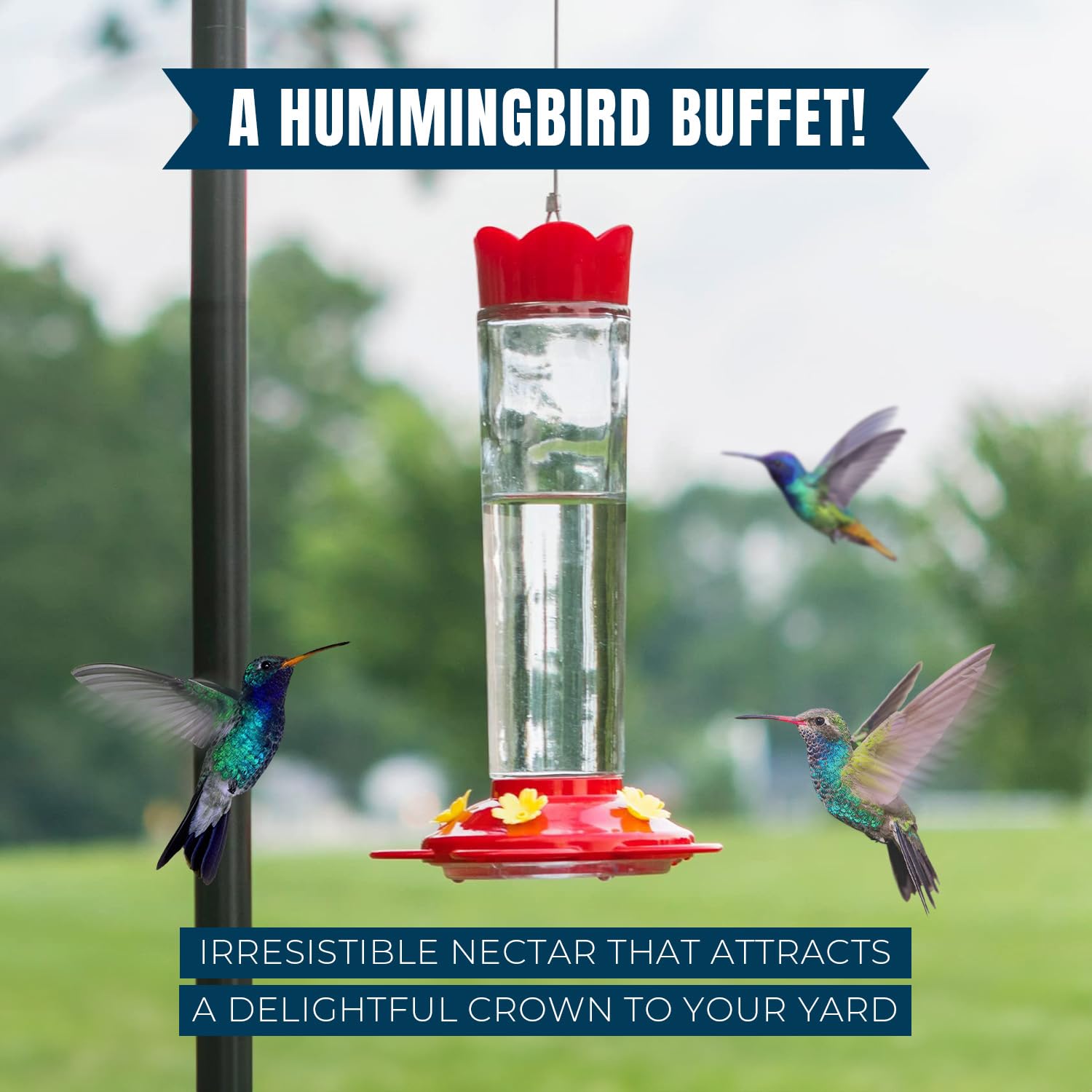 Mekkapro Premium Hummingbird Nectar - 32oz - Attract, Delight, And Energize Your Garden