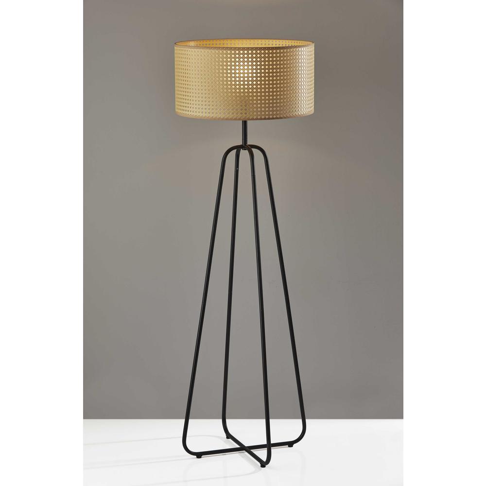 HomeRoots Lighting Open Cane Web Natural Shade Floor Lamp with Dark Bronze Base - 372885