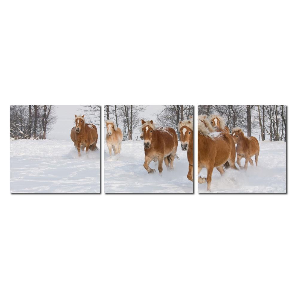 Baxton Studio Horse Herd Mounted Photography Print Triptych Multi