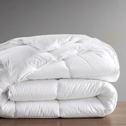 Croscill 100% Cotton Comforter CC10-0017