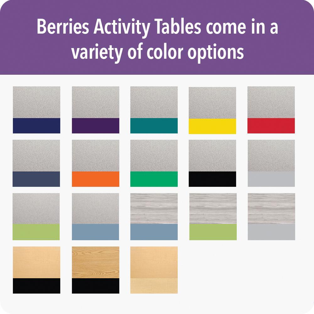 Berries Kidney Activity Table - 48" X 72", Mobile - Gray/Blue/Gray
