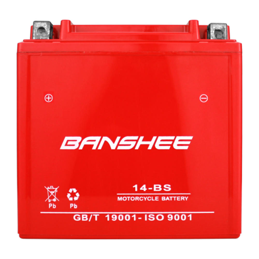 banshee YTX14-BS Motorcycle Battery for Piaggio BV Tourer 500 Battery, 4 Year Warranty