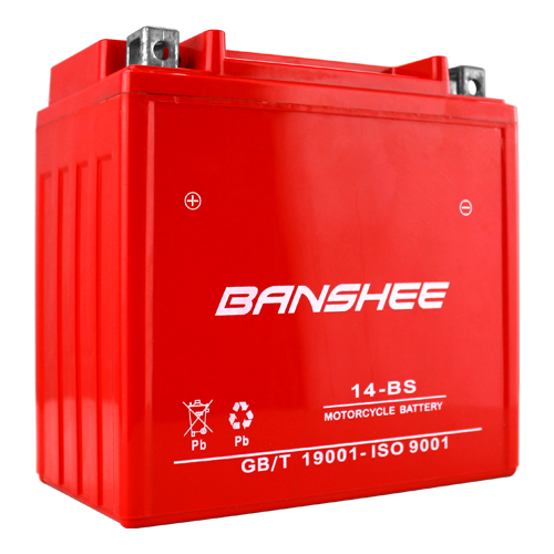 banshee YTX14-BS Motorcycle Battery for Piaggio BV Tourer 500 Battery, 4 Year Warranty