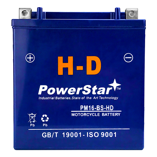 Powerstar Replaces Zipp Battery ZB-M00029-10000 YTX16-BS High Performance - Sealed AGM Motorcycle Battery