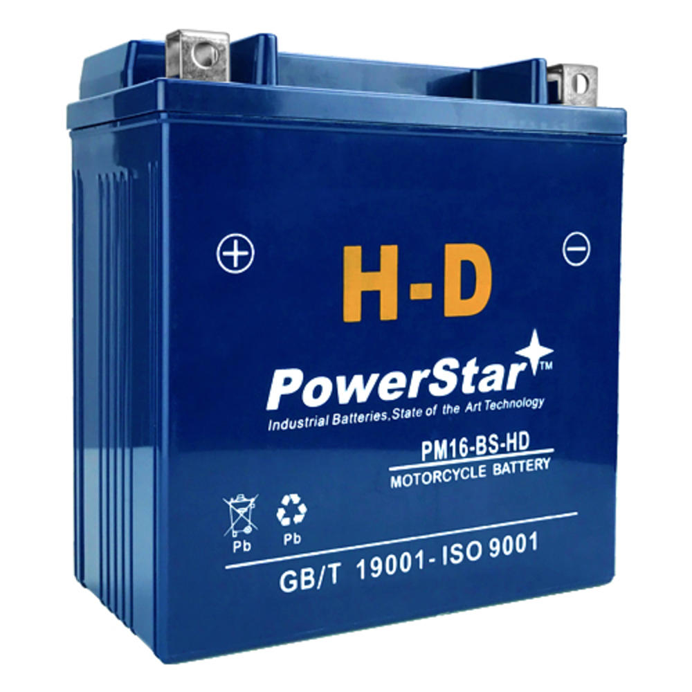 Powerstar Replaces Zipp Battery ZB-M00029-10000 YTX16-BS High Performance - Sealed AGM Motorcycle Battery