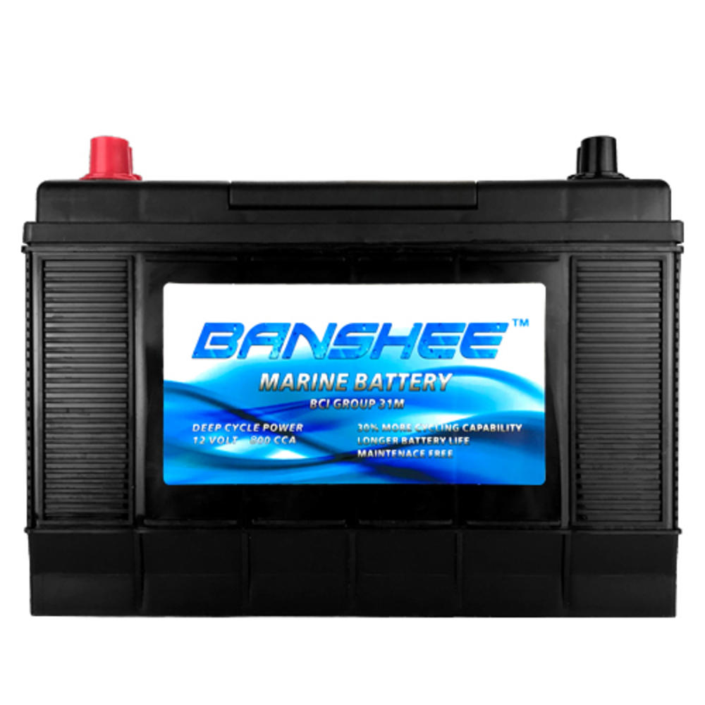 banshee Marine Battery Replaces D31M 8052-161 SC31DM