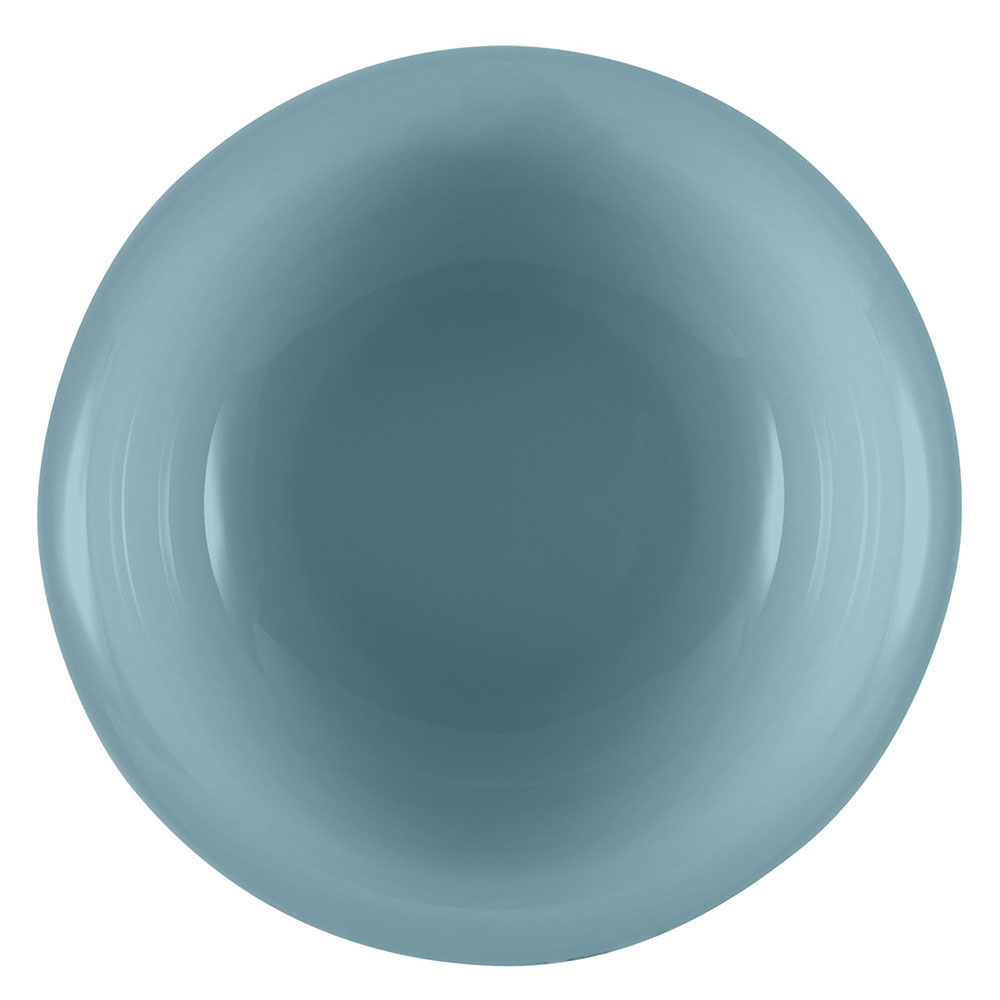Paula Deen 58758 Bas Relief Whitaker Stoneware 10-Inch Serving Bowl Aqua Paula Deen 58758 Bas Relief Whitaker Stoneware 10-Inch Serving Bowl Aqua