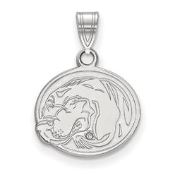 LogoArt Tennessee Small (1/2 Inch) Pendant (Sterling Silver)