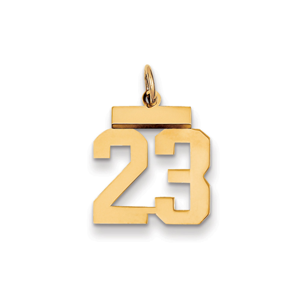 Black Bow Jewelry Company 14k Yellow Gold, Athletic Collection, Small Polished Number 23 Pendant