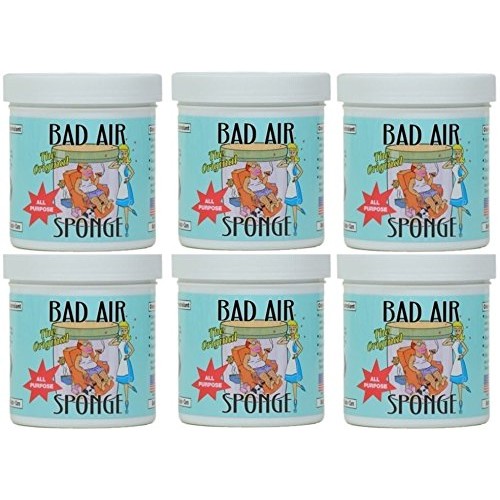 Bad Air Sponge Odor Neutralant Neutralizes and Absorbs Odors 14oz (Pack of  6)