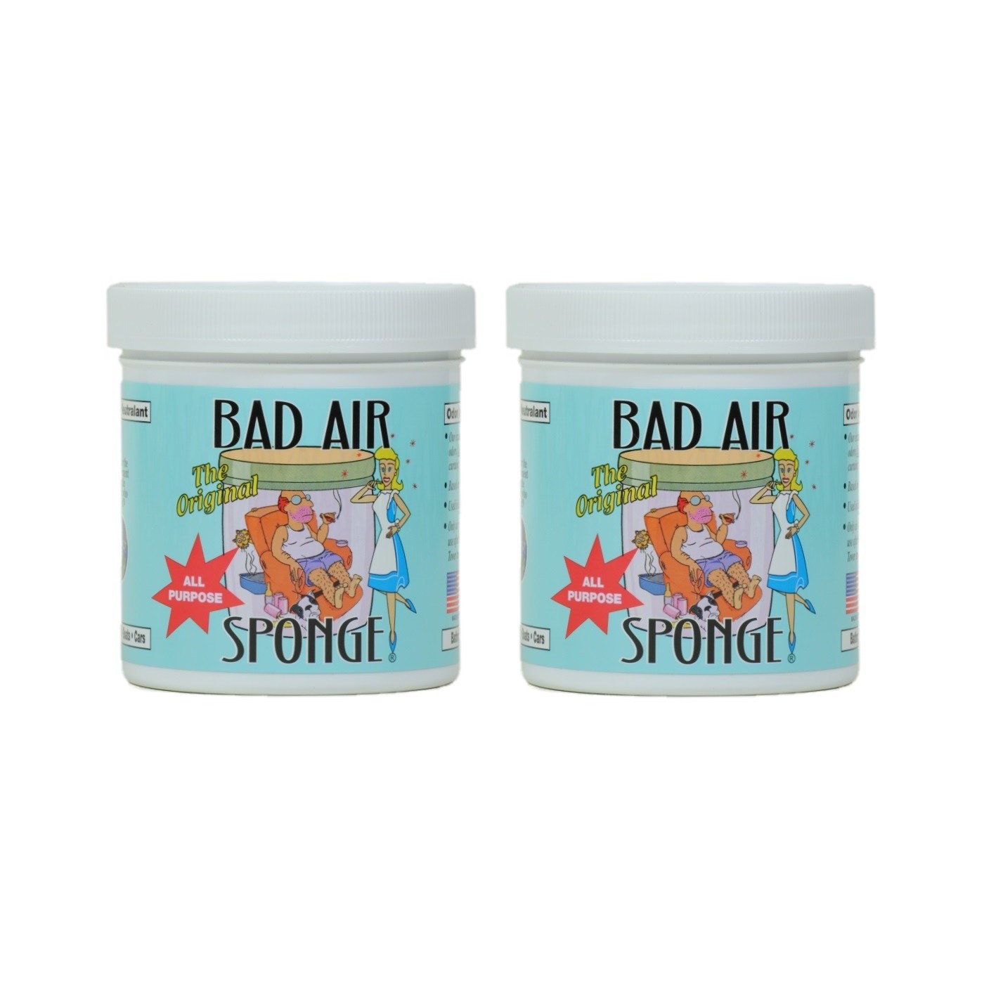 Bad Air Sponge Odor Neutralizer Absorbs and Eliminates Bad Smells 14 oz (2  Pack)
