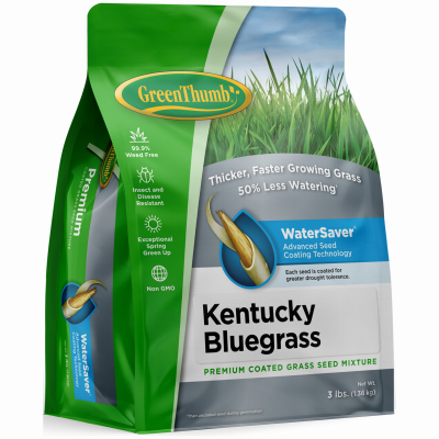 Green Thumb GREUN210 Premium Coated Kentucky Bluegrass Seed, 3 Lbs., Covers 2,000 Sq. Ft. - Quantity 1