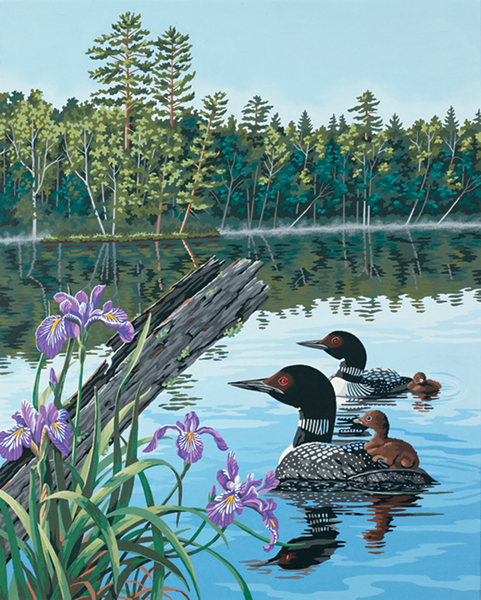 Dimensions Paint By Number Kit 16 X20 Loons And Irises