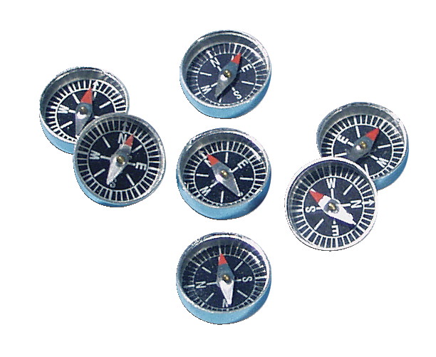Delta Education 032-2629 0.8 in. Dia. Magnetic Field Detection Compass - Pack of 10